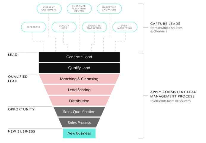 lead management