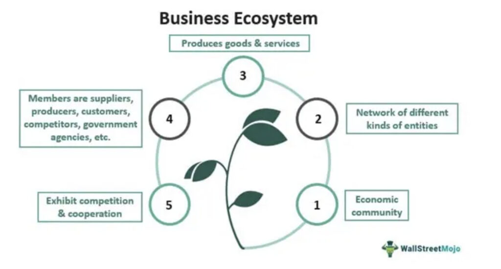 A diagram of a business ecosystem